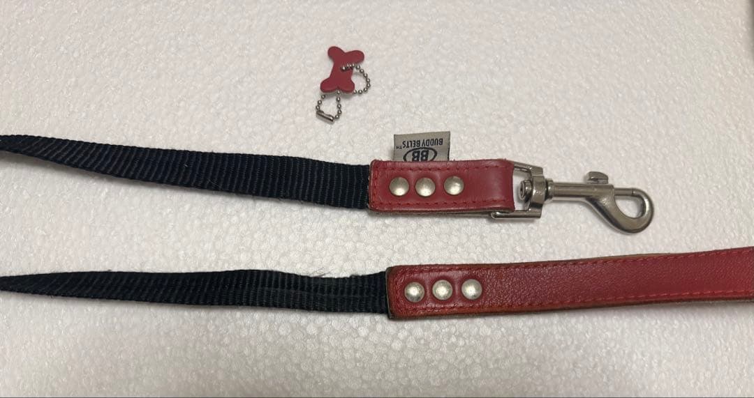 バディベルト5号、リード、ライナーセット