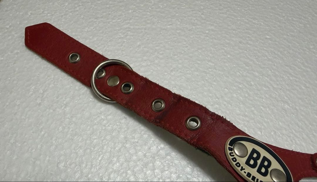 バディベルト5号、リード、ライナーセット