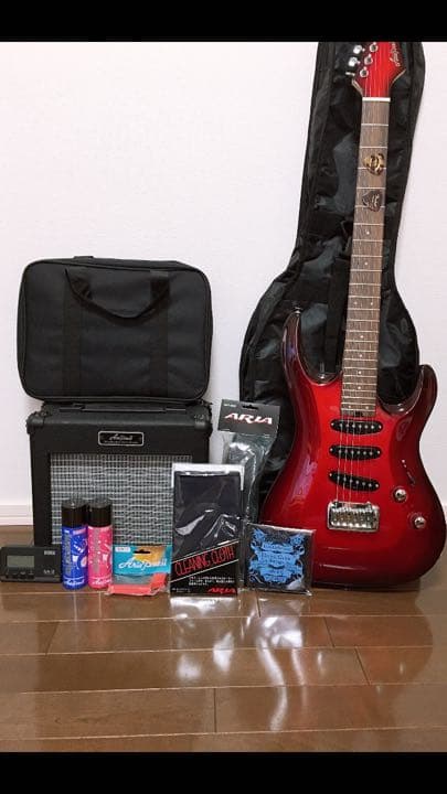 AriaProllエレキギター、カバー、アンプ、ピック、手入れ道具、シールド、本
