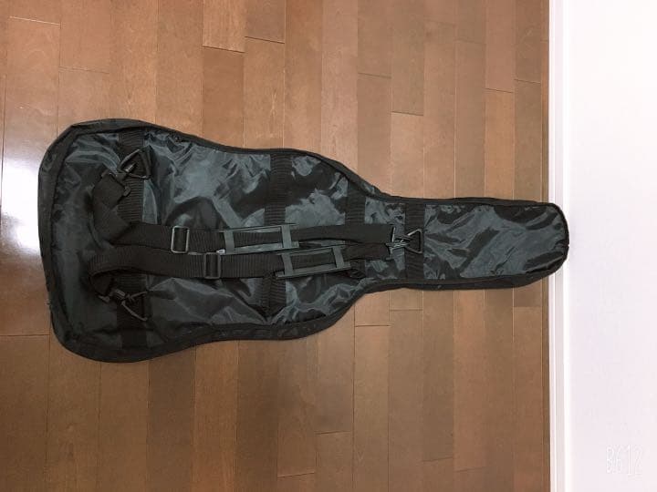 AriaProllエレキギター、カバー、アンプ、ピック、手入れ道具、シールド、本