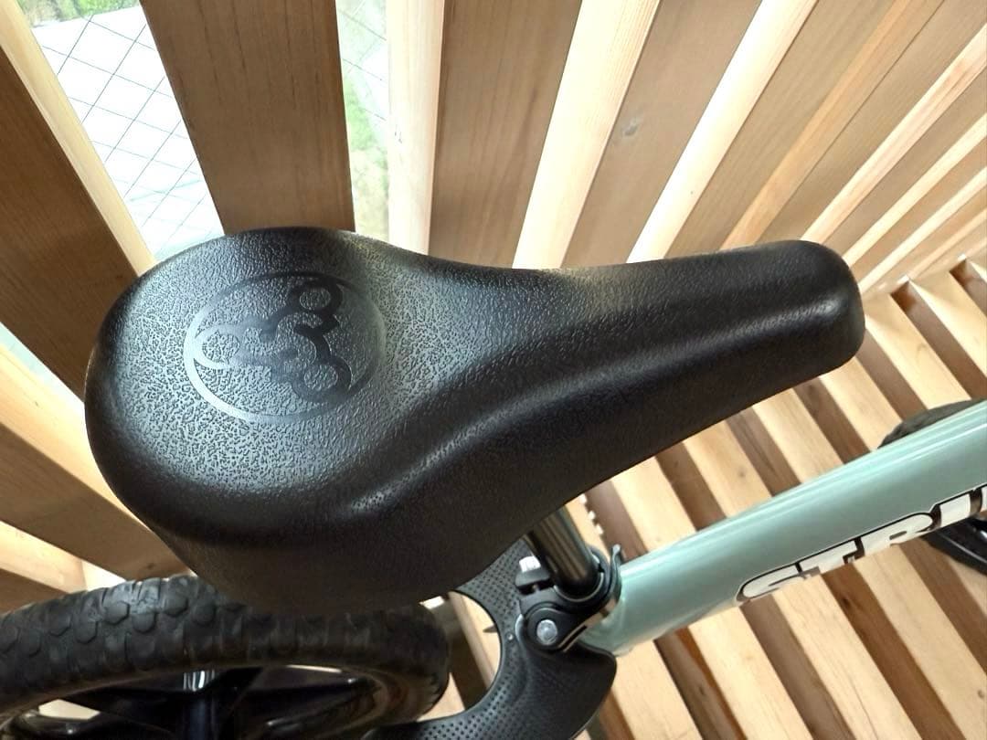 希少・美品！ストライダースポーツ　アイスブルー　ケース・プロテクター付き