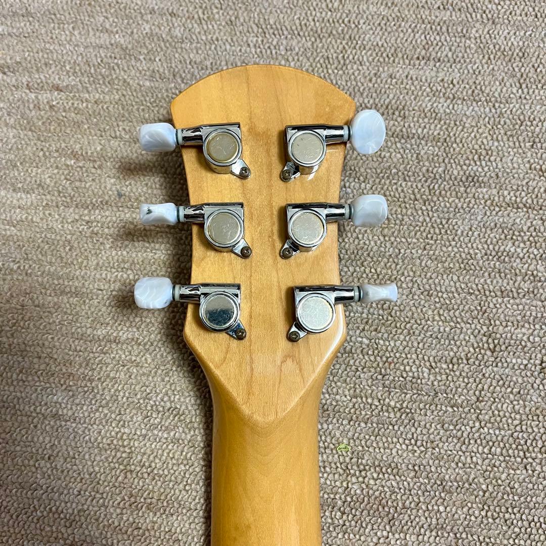 【美品】PIGNOSE ピグノーズ アンプ内蔵ミニギター