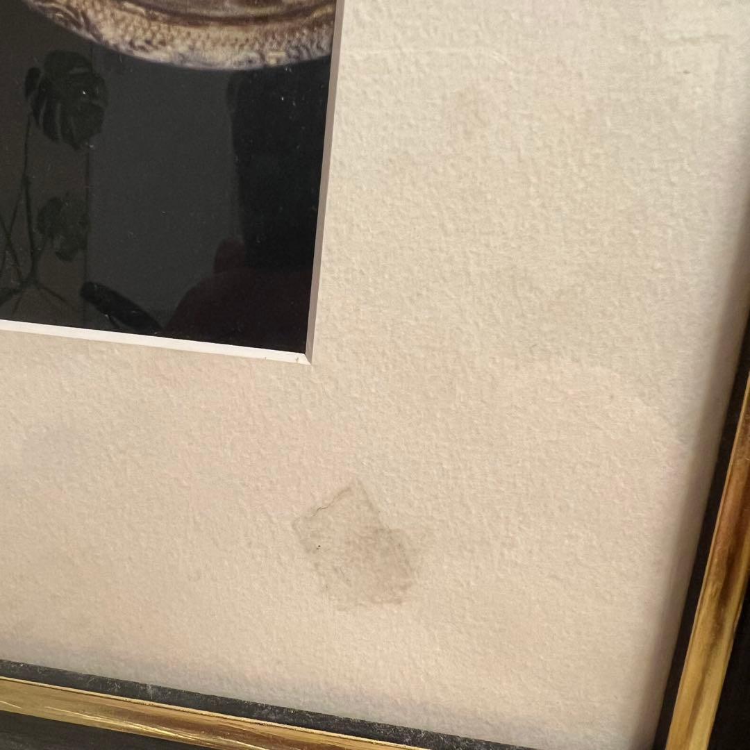 TITANIC The Exhibition ポスター額入り