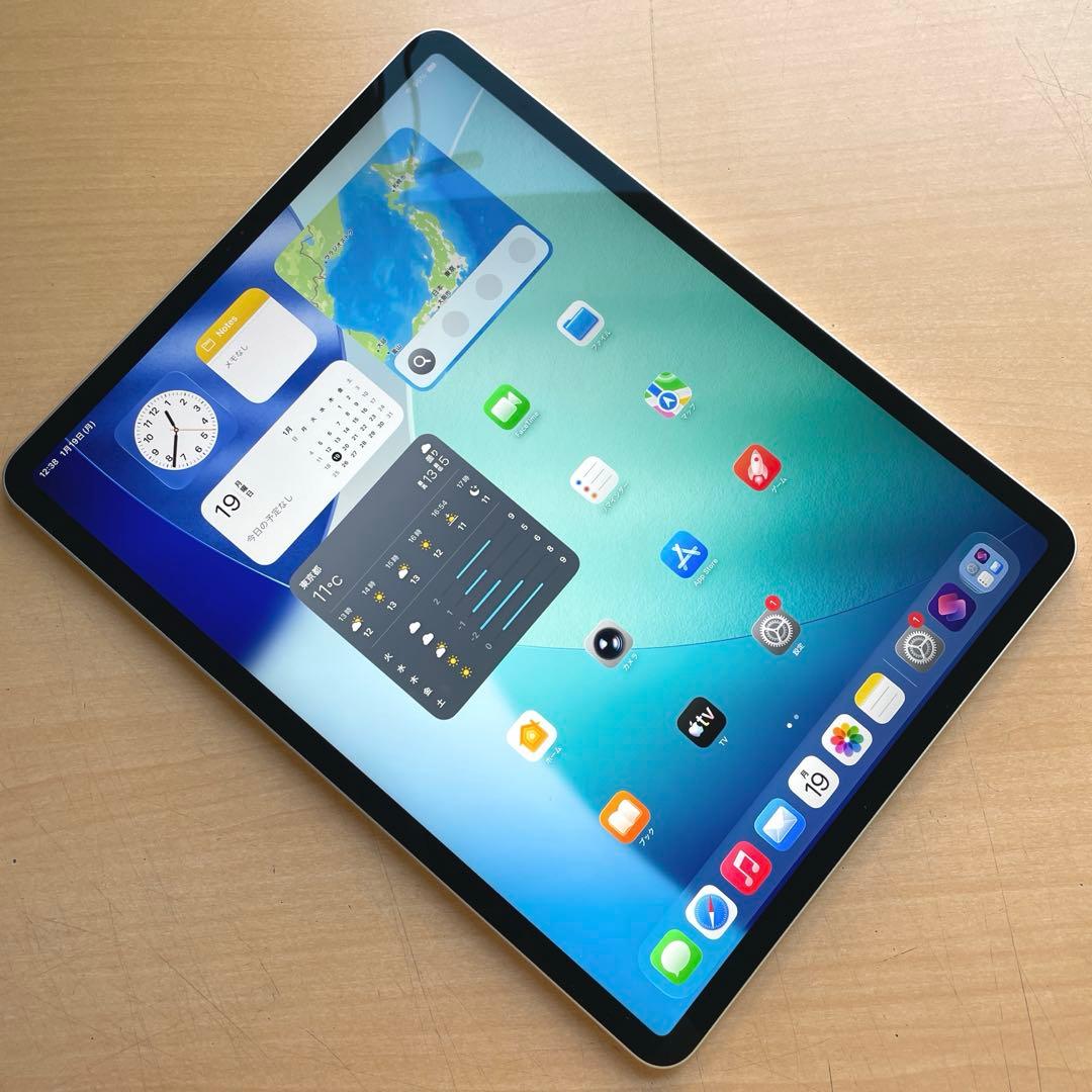 iPad Pro 12.9 第4世代 シルバー　128GB 超美品 #3