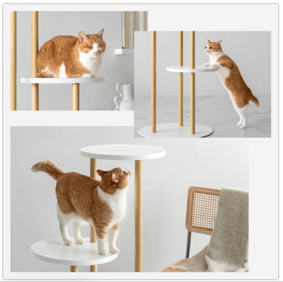 ホワイト 3段スリムキャットタワー　天然木