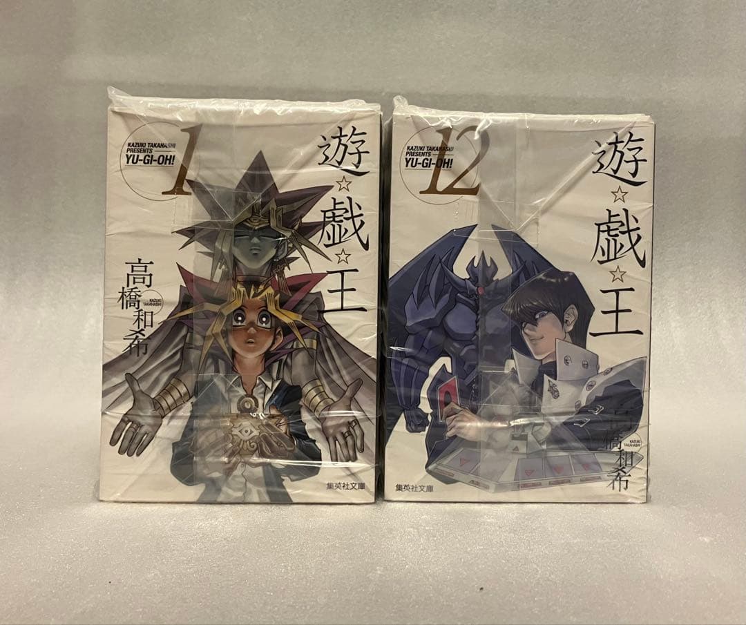 遊戯王　文庫版　1〜22巻　全巻セット