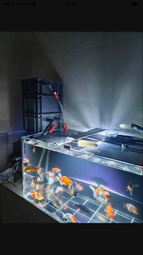 万能濾過お任せ濾過材付きフルセット 水槽池用濾過器フィルター大型水槽濾過装置