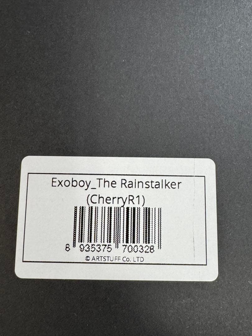 The Rainstalker Exoboy　Artkey