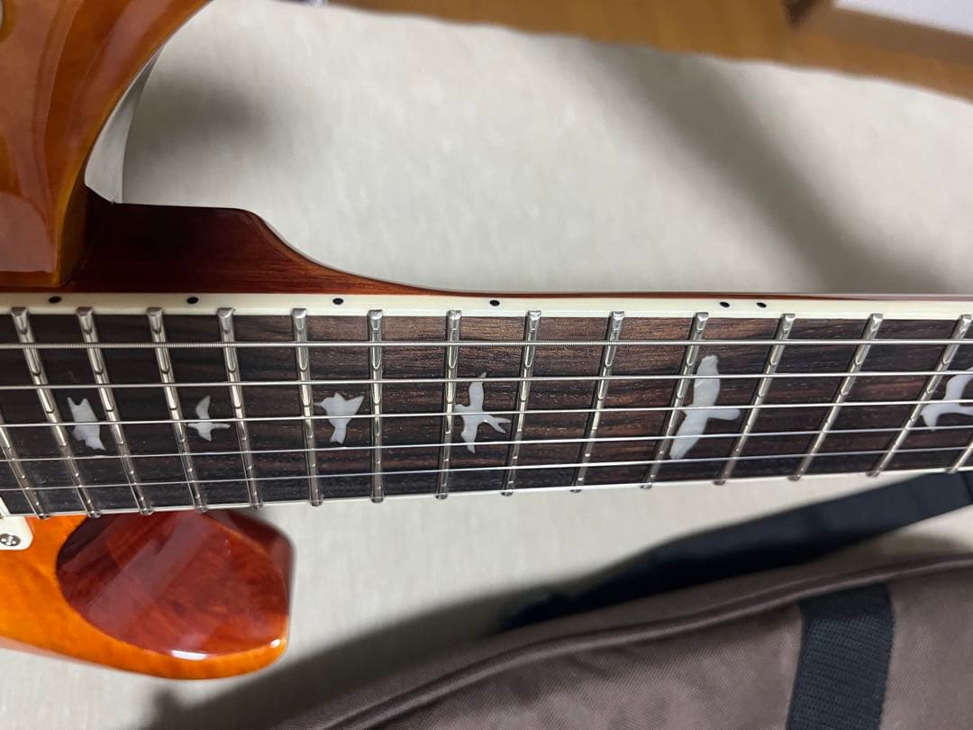 ※ヒロ　　PRS SE McCarty 594