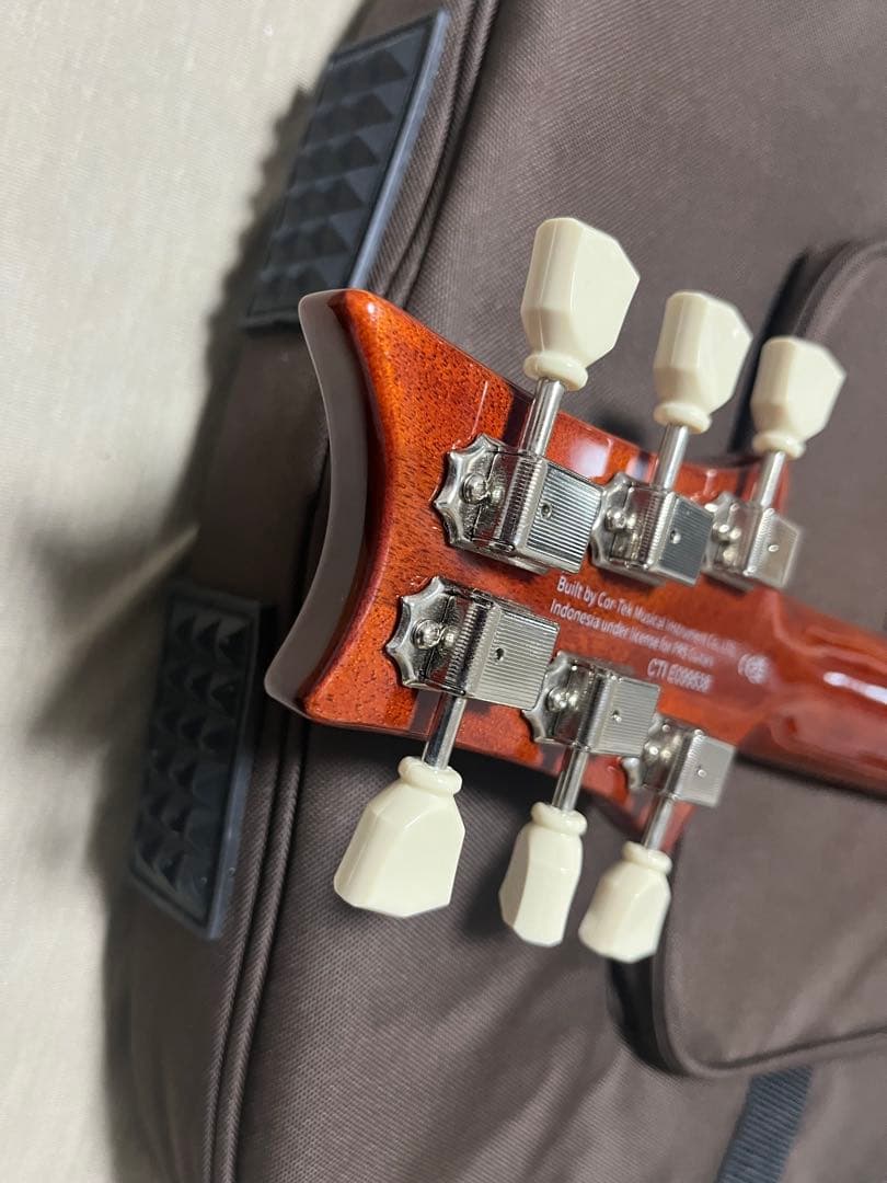 ※ヒロ　　PRS SE McCarty 594
