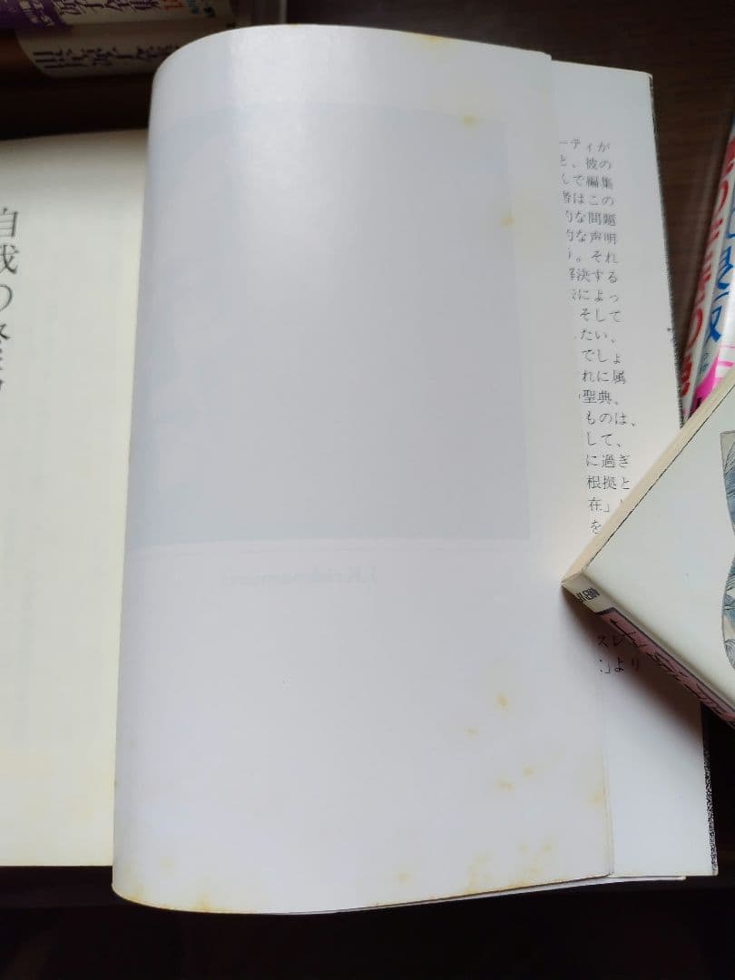 ハ*ン様 自我の終焉 クリシュナムルティ