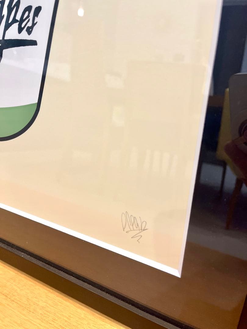 GIRUVI Dioscorea Elephantipes 亀甲竜