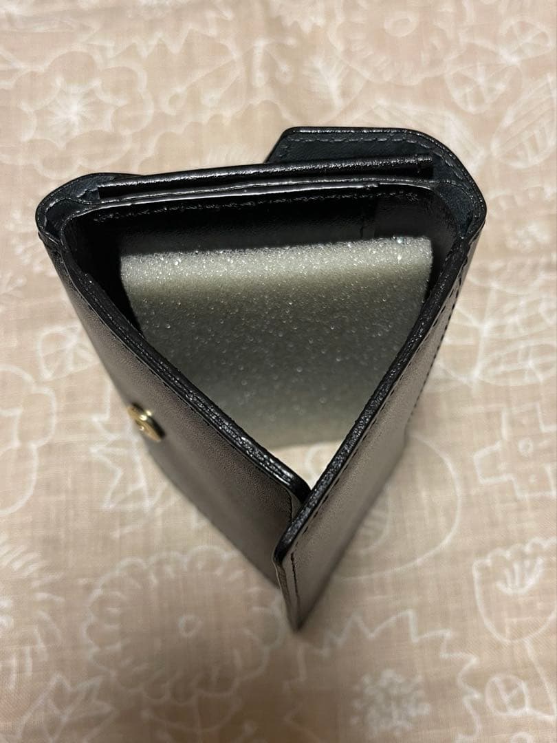 手のひらサイズの本革財布　KURASHI&Trips PUBLISHING