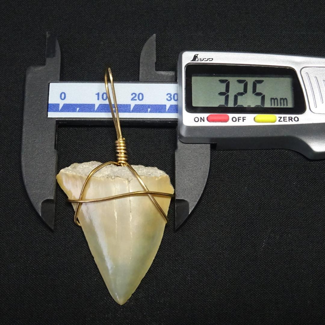 【サメの歯】のペンダントトップ