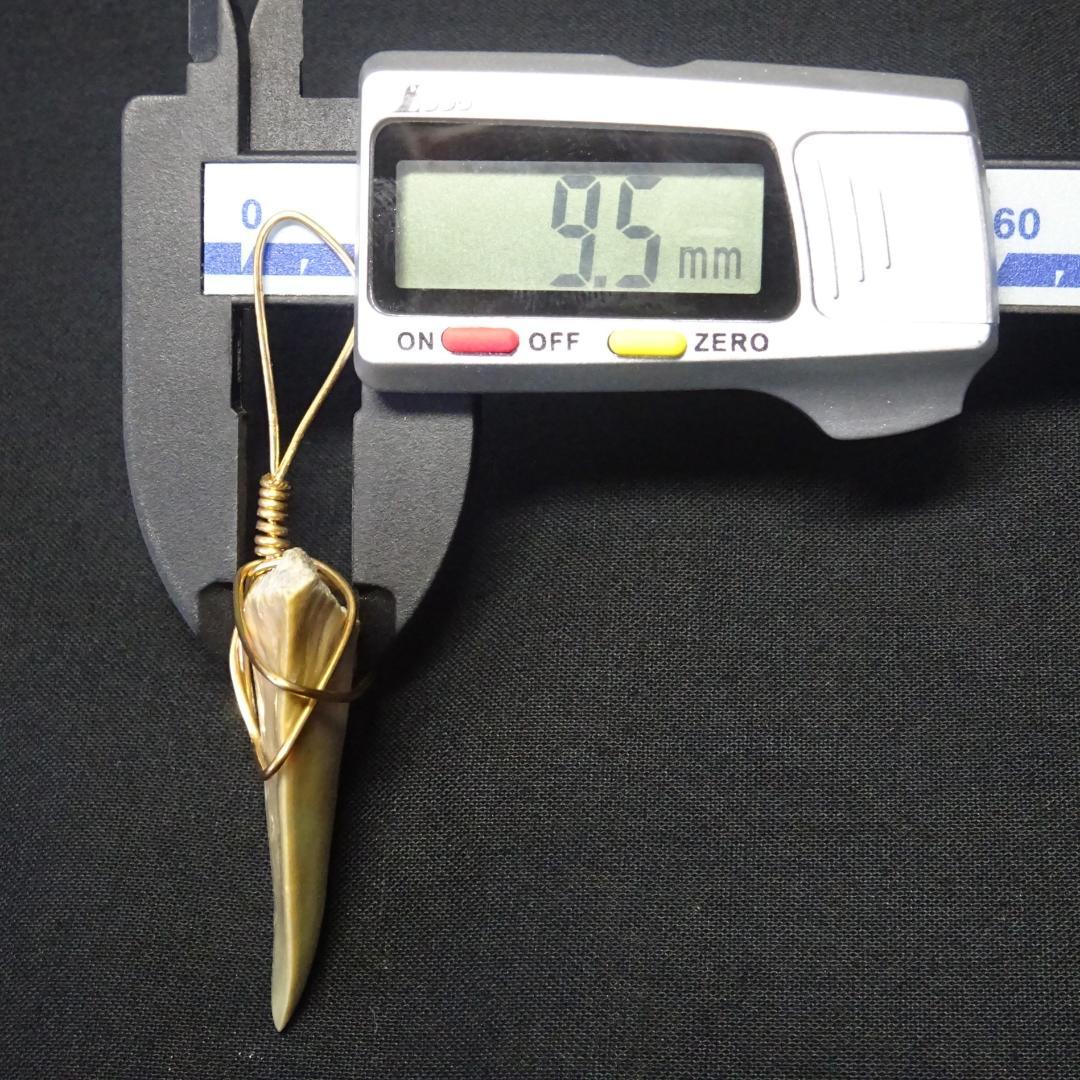 【サメの歯】のペンダントトップ