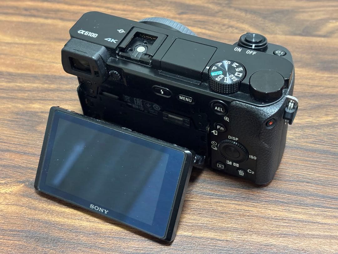 ソニー ミラーレス一眼カメラ α6100 +純正充電器・バッテリー