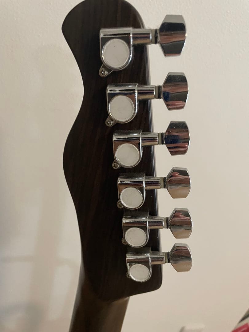 Bacchus BTW-TW NS バッカス オールローズ風 テレキャスター