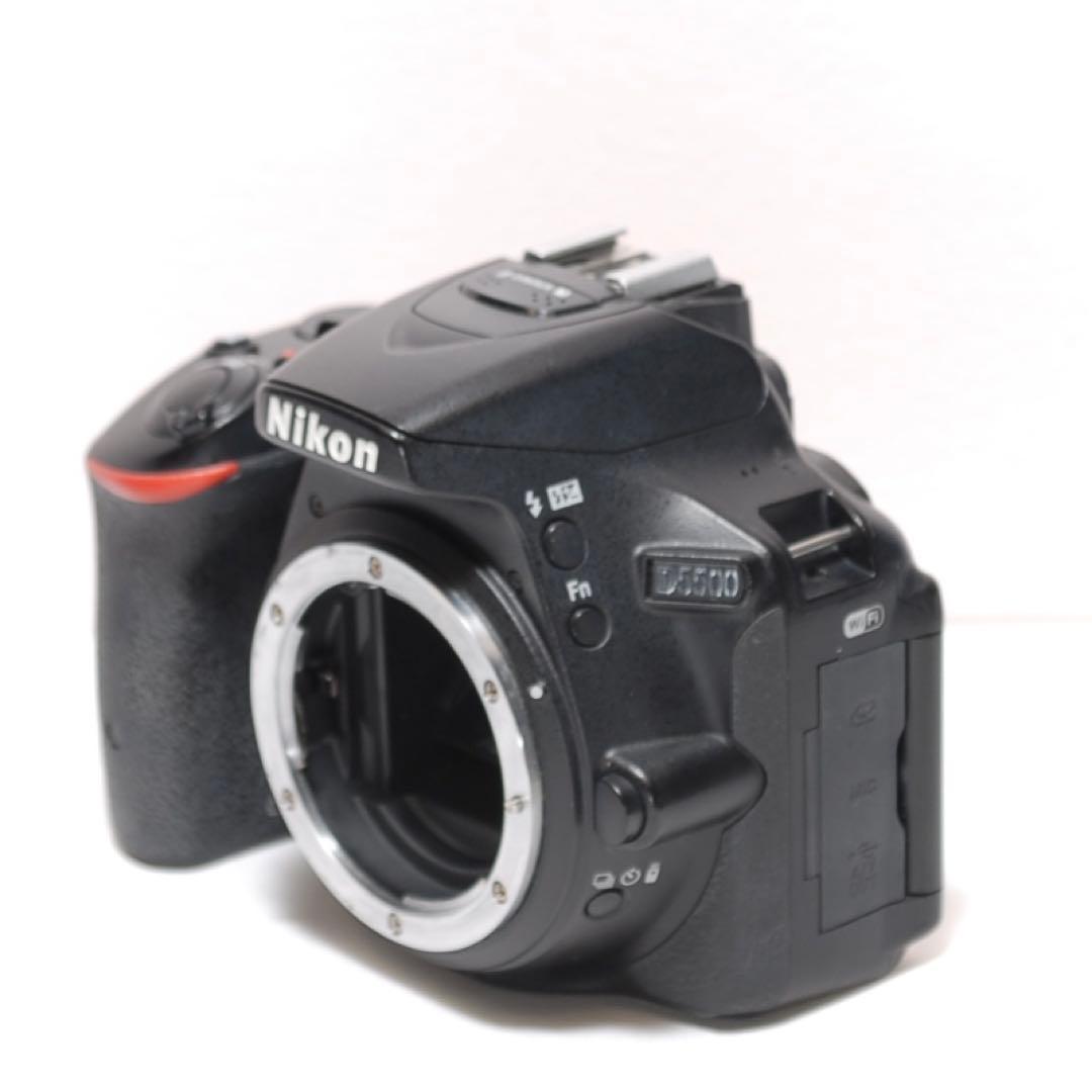 お年玉で一眼レフを始めよう✨Nikon D5500✨シングルレンズ✨高画質✨