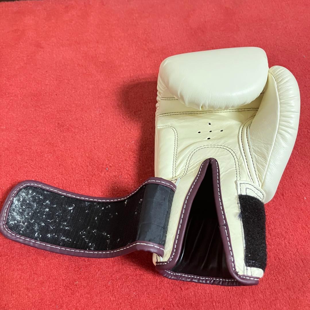 フェアテックス Fairtex グローブ 14 oz ホワイト