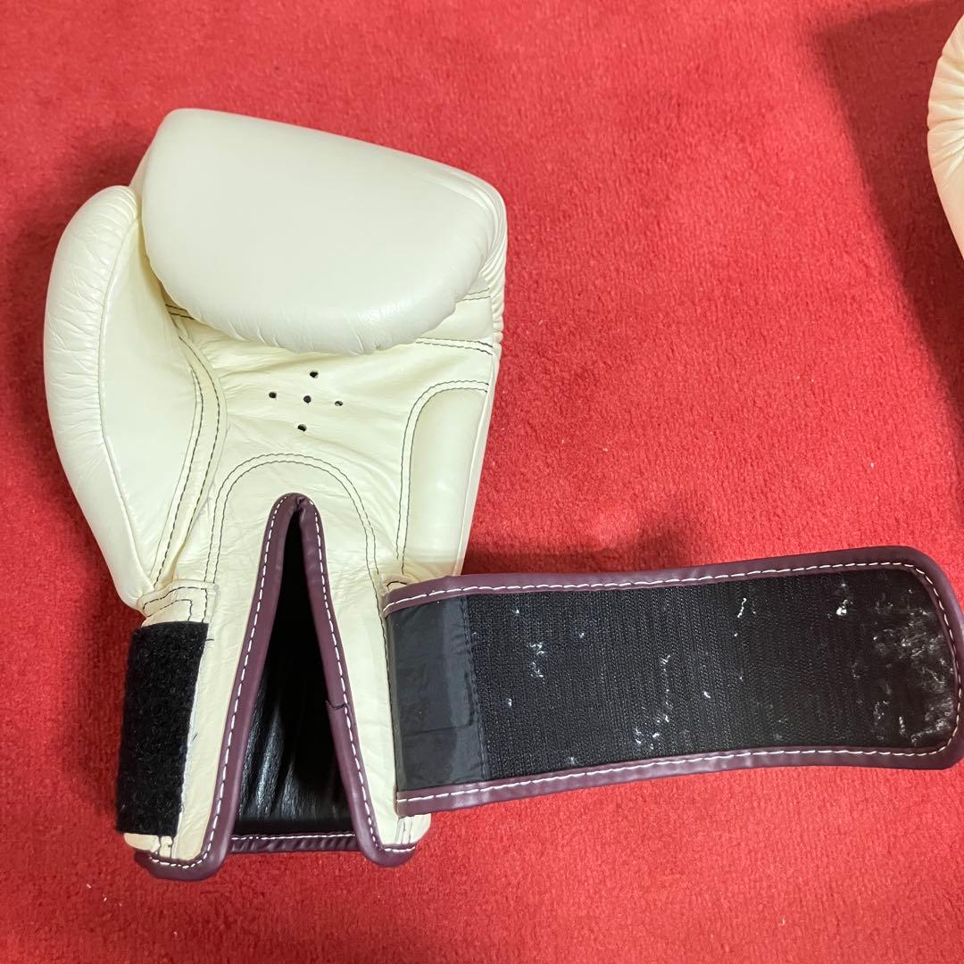 フェアテックス Fairtex グローブ 14 oz ホワイト