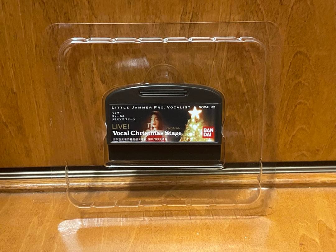 リトルジャマープロ　ボーカリストクリスマスステージ　little jammer