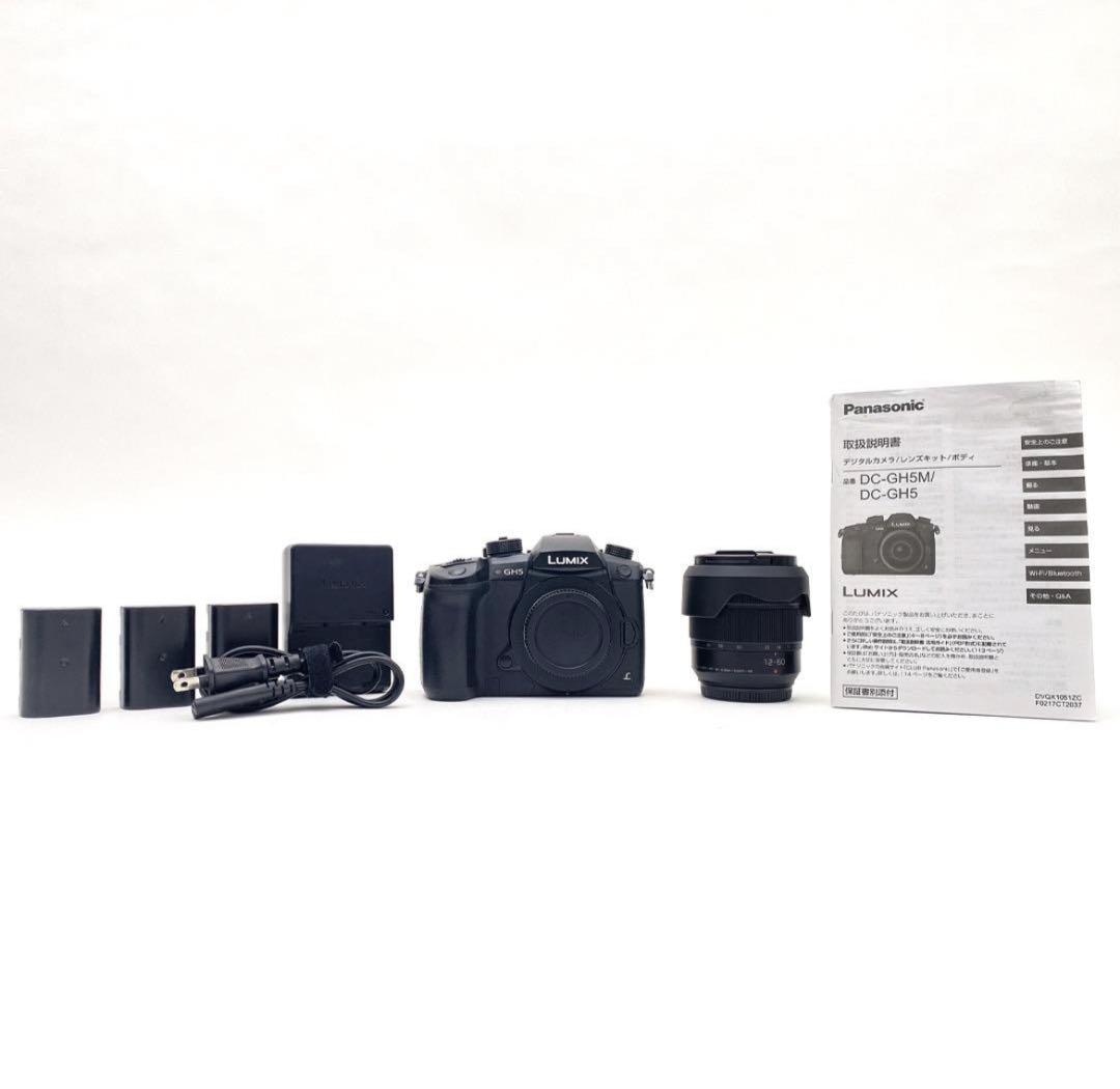 【並品】Panasonic パナソニック DC-GH5 レンズ付き