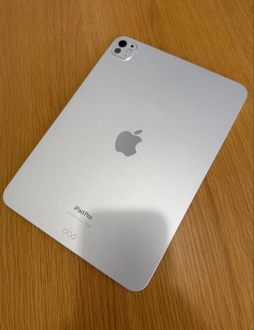 iPad Pro 11in M4 256 WiFi bat100% アップル購入