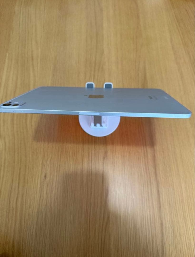 iPad Pro 11in M4 256 WiFi bat100% アップル購入