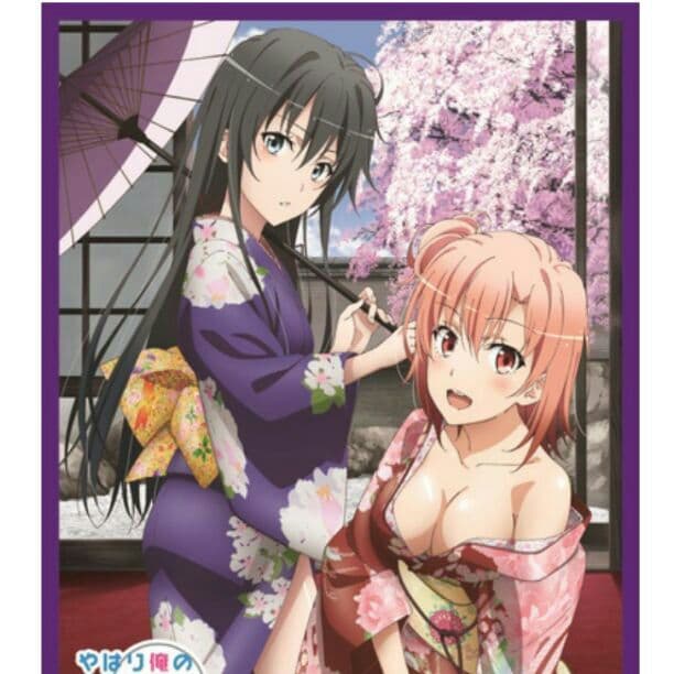 プレメモ スリーブ