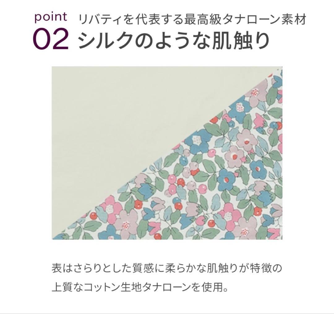 エアバギードーム3 公式コーナークッション リバティ vanilla 限定品