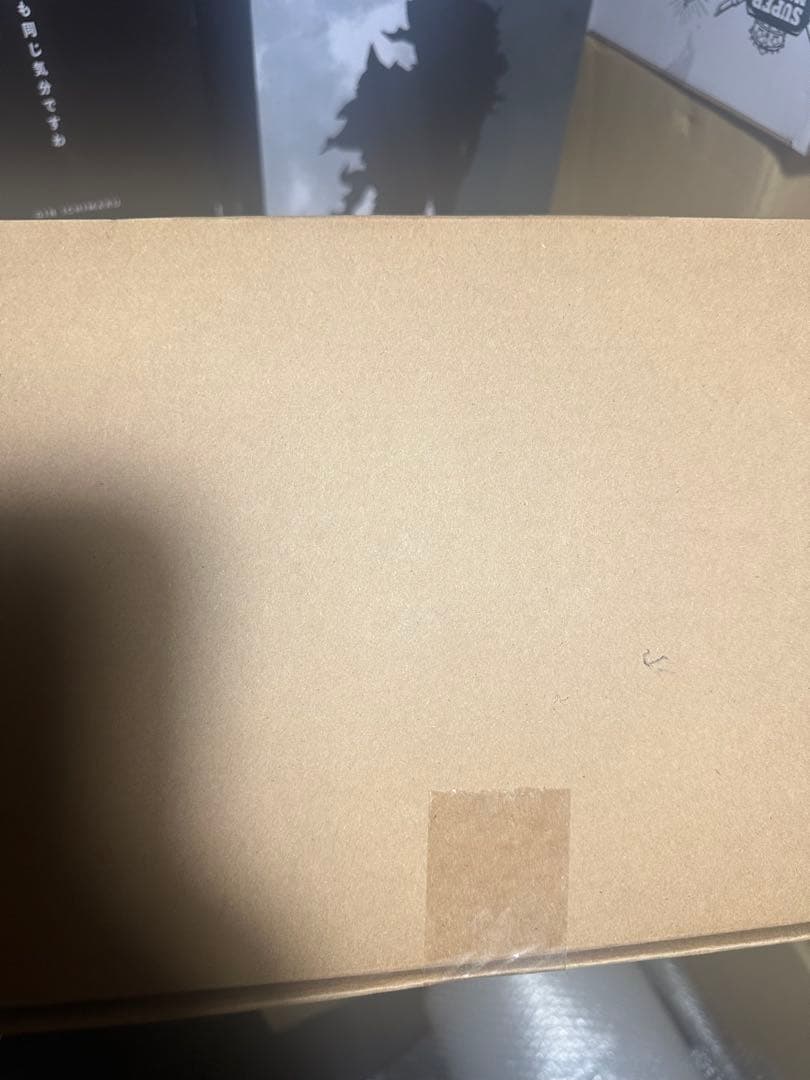 東宝30㎝シリーズ　ゴジラ 1993 少年リック限定版