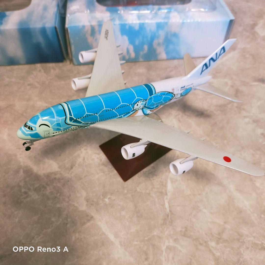 フライングホヌ✕3 コンプ約20cm