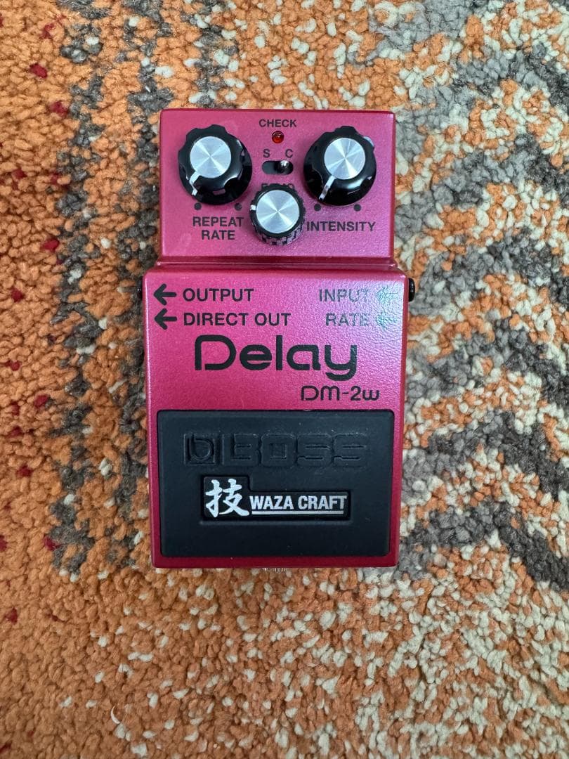 BOSS DM-2W Delay(技クラフト）