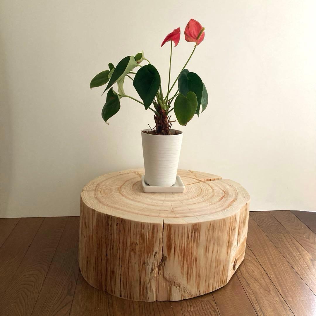 一枚板　切り株　ナチュラルウッド　特大43cm 樹齢約80年 ハンドメイドC