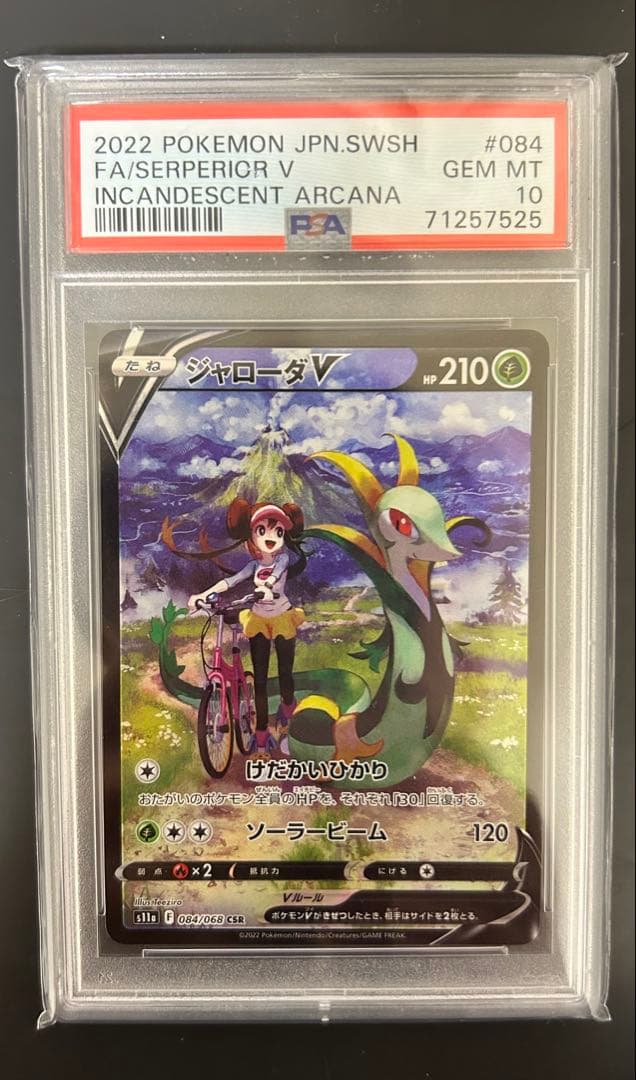 y*u様 【PSA10】 ジャローダV CSR 白熱のアルカナ