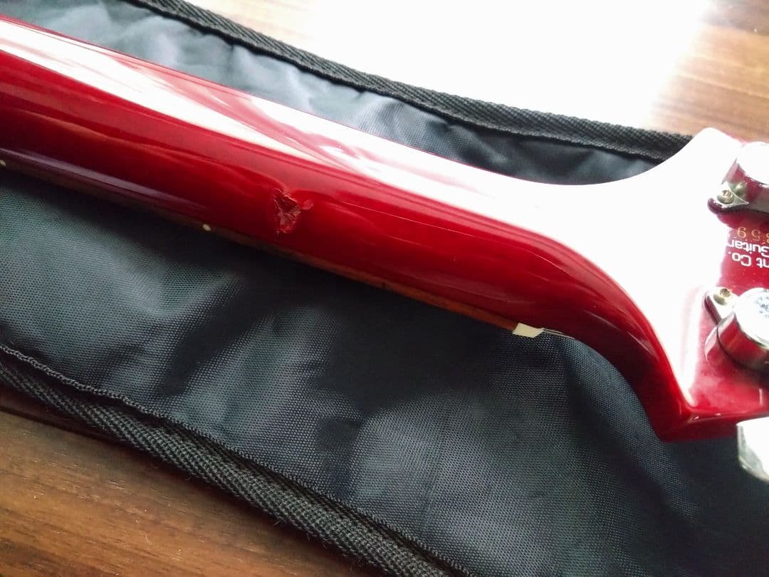 ギター Paul Reed Smith PRS SE Custom