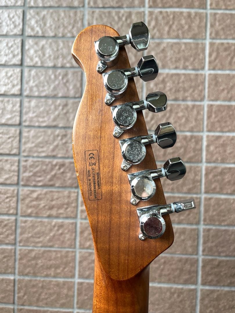 【動作◯】 Harley Benton Pro Series テレキャス