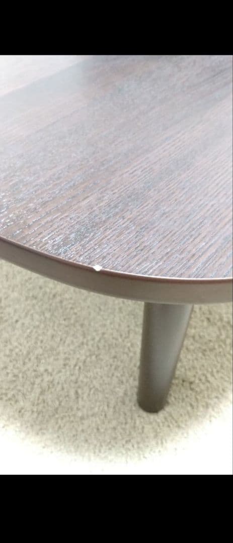 マナティ　こたつ