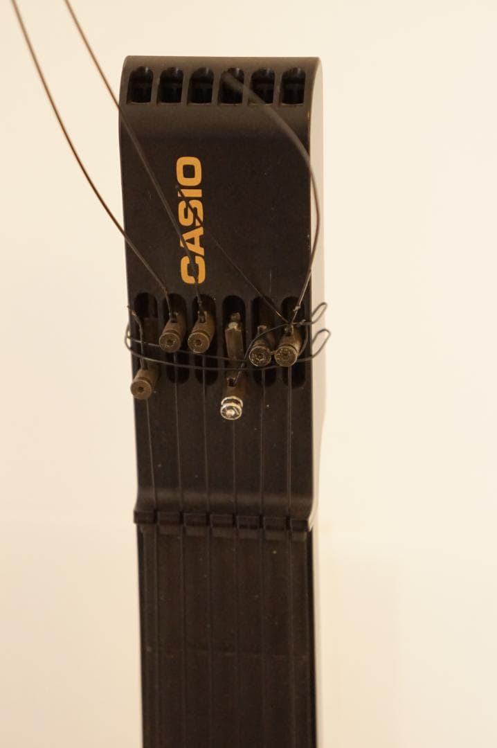 ギター CASIO dg-20 digital guitar