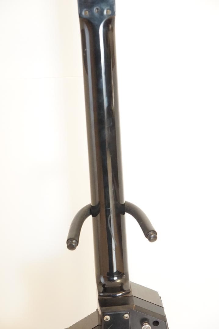 ギター CASIO dg-20 digital guitar