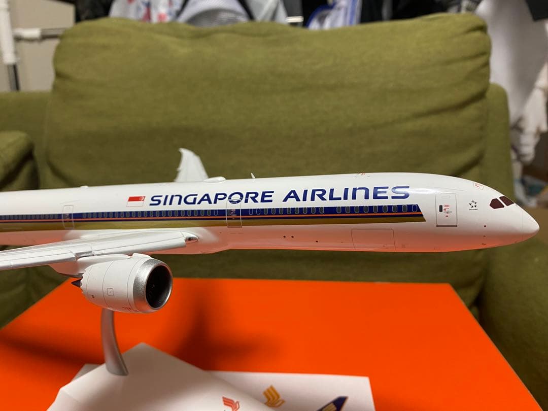 み*る様 シンガポール航空 ボーイング787-10 フラップダウン仕様