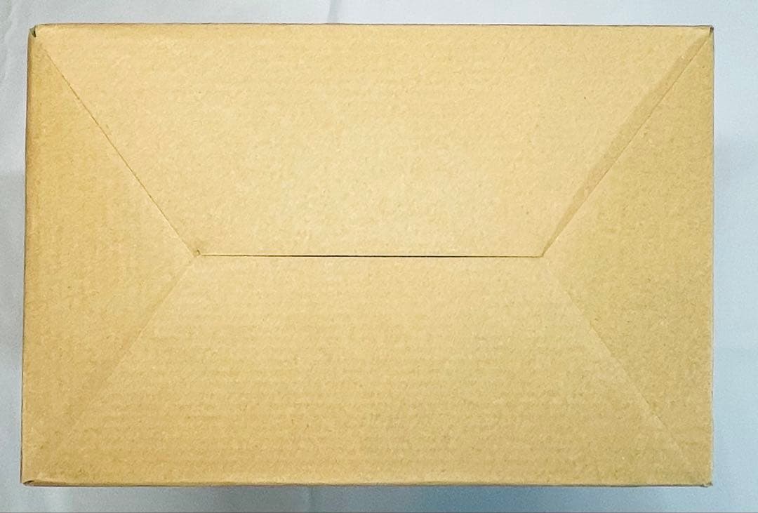 DX超合金 VF-25F トルネードメサイアバルキリー （早乙女アルト機）