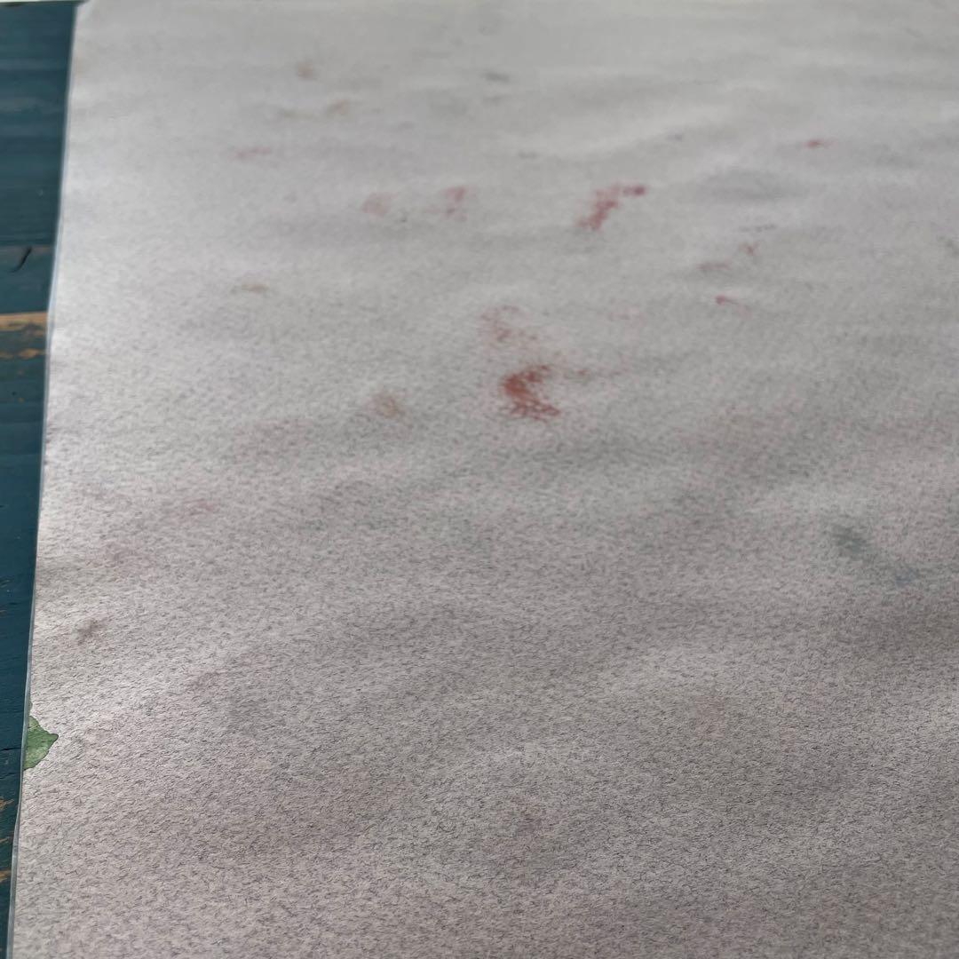 パステル画/色褪せない花束の贈り物/癒し/ヒーリング/パワースポット/ビバーナム