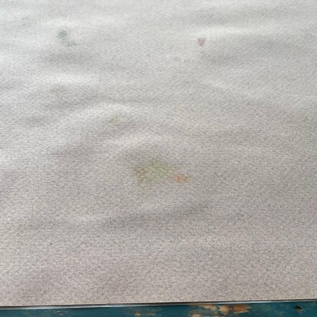 パステル画/色褪せない花束の贈り物/癒し/ヒーリング/パワースポット/ビバーナム