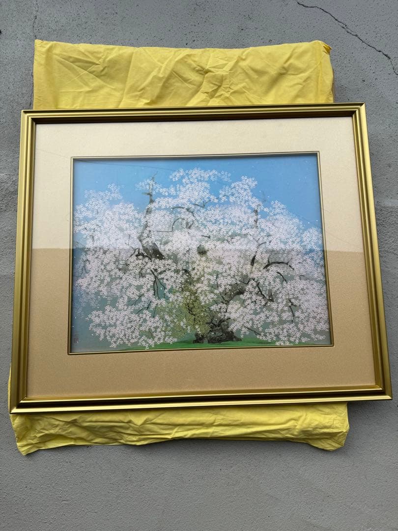 中島千波 千歳桜 落款あり 岩絵具方式複製画 限定 757/1000 額装