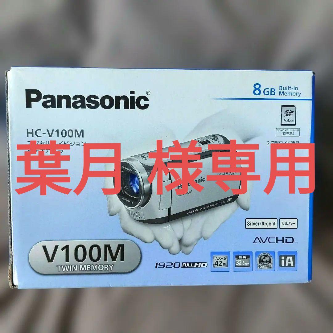 Panasonic HC-V100M ビデオカメラ