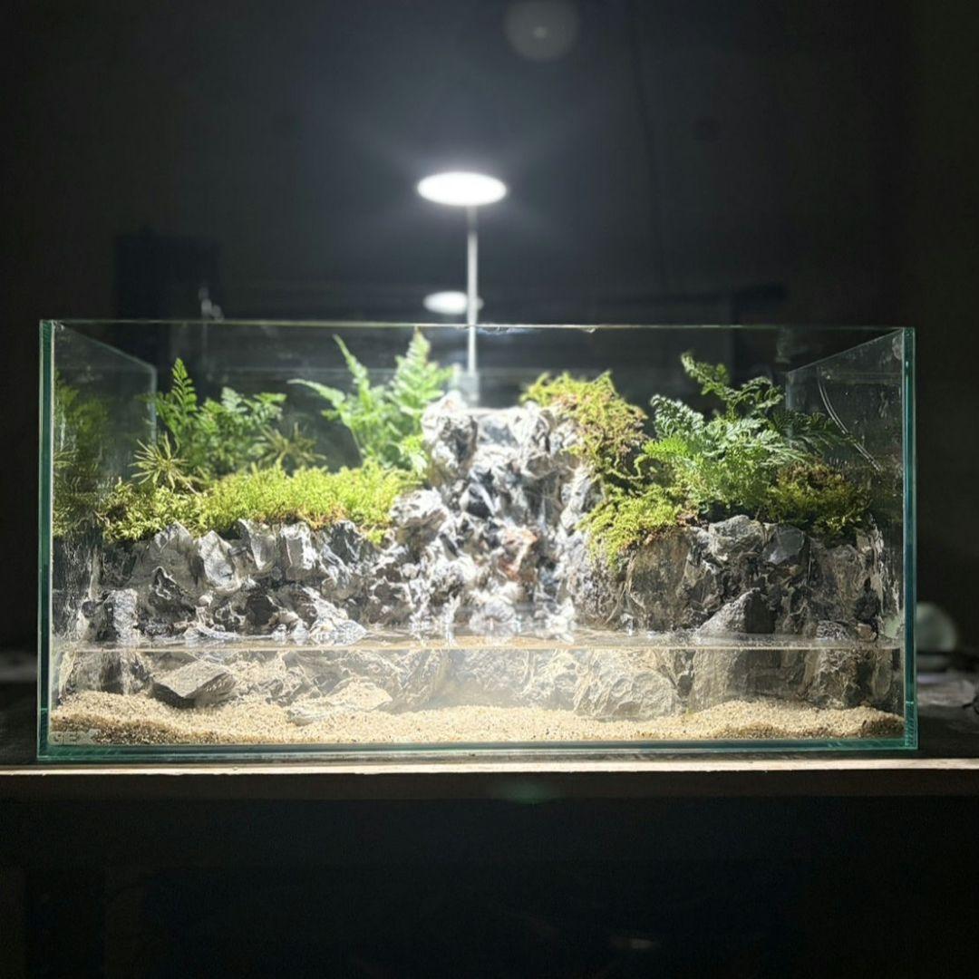 滝の流れるアクアテラリウム　Boo