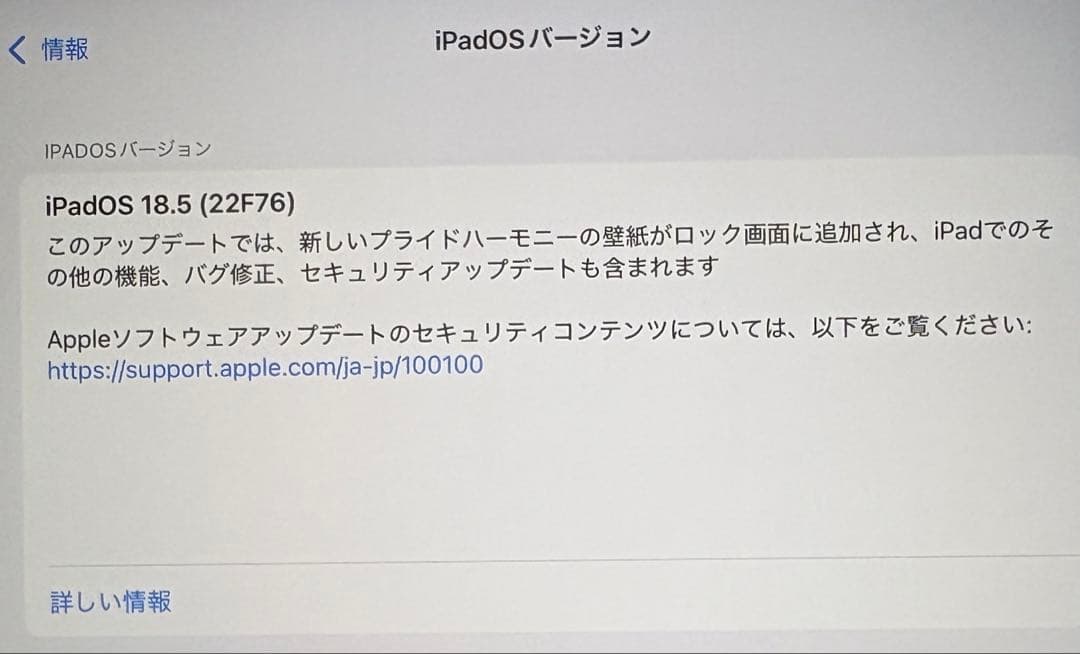 iPadmini第6世代 256G Wi-Fi+Cellular