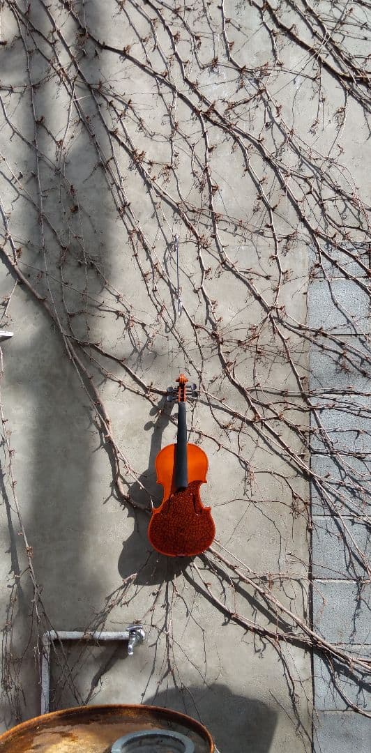 バイオリン《アート作品》