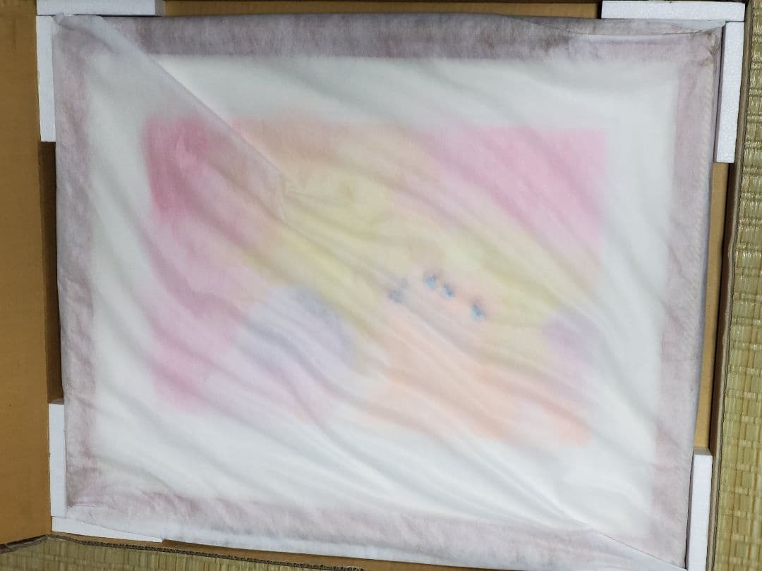 いのまたむつみ 版画 GEMINI アールビバン